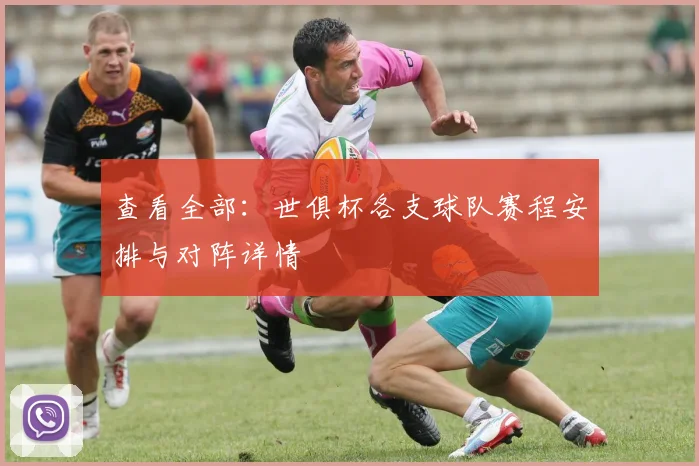 查看全部：世俱杯各支球队赛程安排与对阵详情