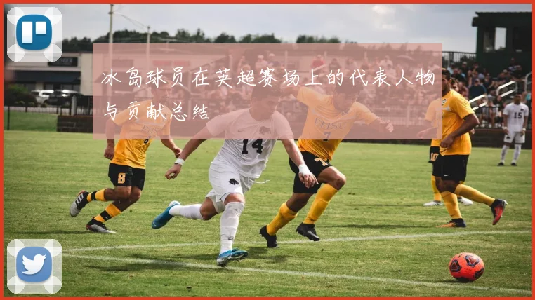 冰岛球员在英超赛场上的代表人物与贡献总结