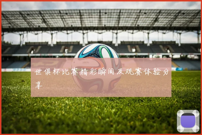世俱杯比赛精彩瞬间及观赛体验分享