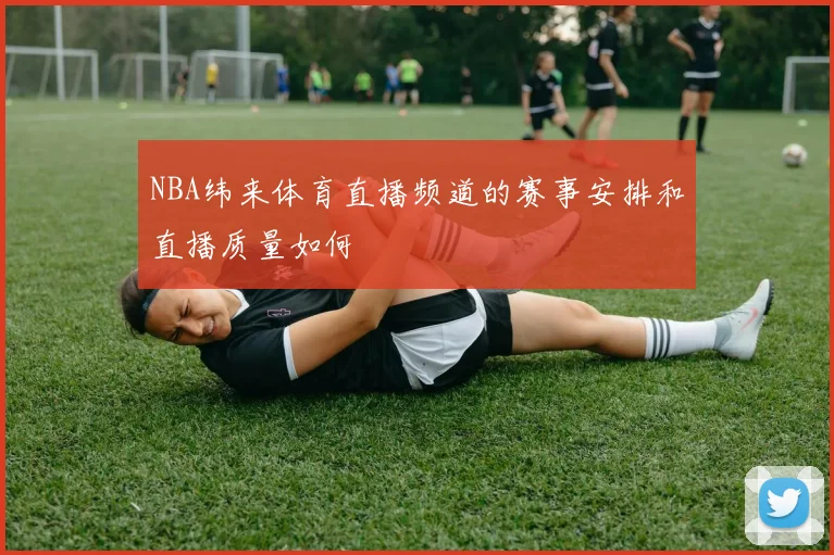 NBA纬来体育直播频道的赛事安排和直播质量如何