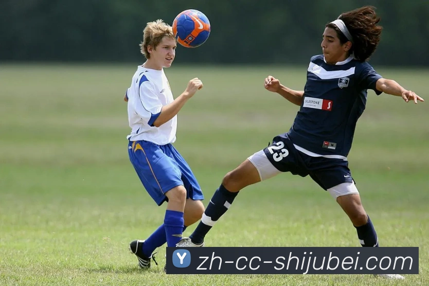 世界杯赛程表平台生态图