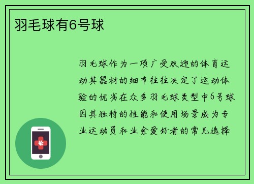 羽毛球有6号球